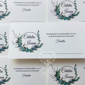 Plic bani rustic nature